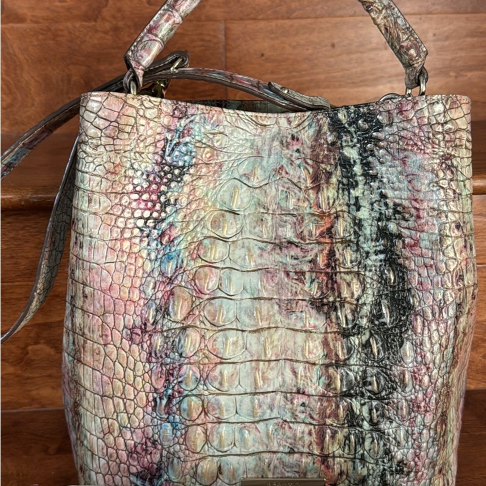 Multicolor Croc-Embossed Women's Bag